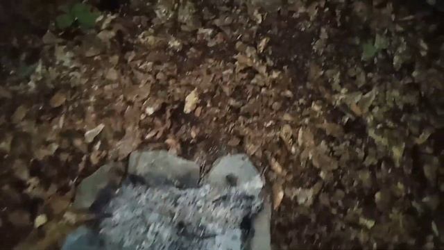 Из Ореховки в Красную Поляну. 2. От Амуко до Чуро. смотреть онлайн