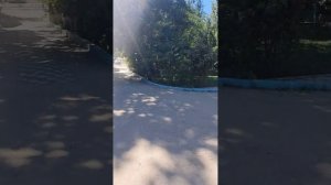 Живём в палатке рядом с базой отдыха на Каспийском море #отпуск #море #пляж #Каспий #Каспийскоеморе