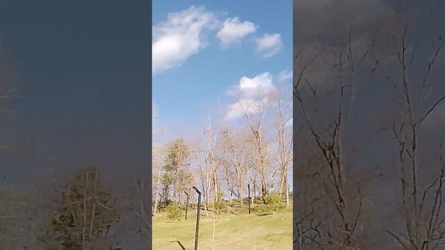 #майкоп #моипутешествия  1-й день знакомства с городом...