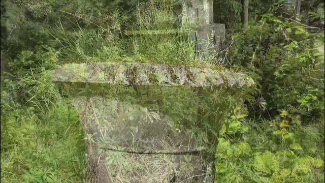 Заброшенный санаторий в Токсово смотреть онлайн