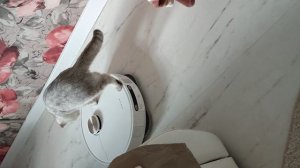 Оседлала...🥰🔥🔥🔥