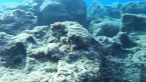 Coral Bay Divers, Paphos - Cyprus