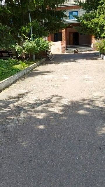 Санаторий "Росинка" ...#лето #красота смотреть онлайн