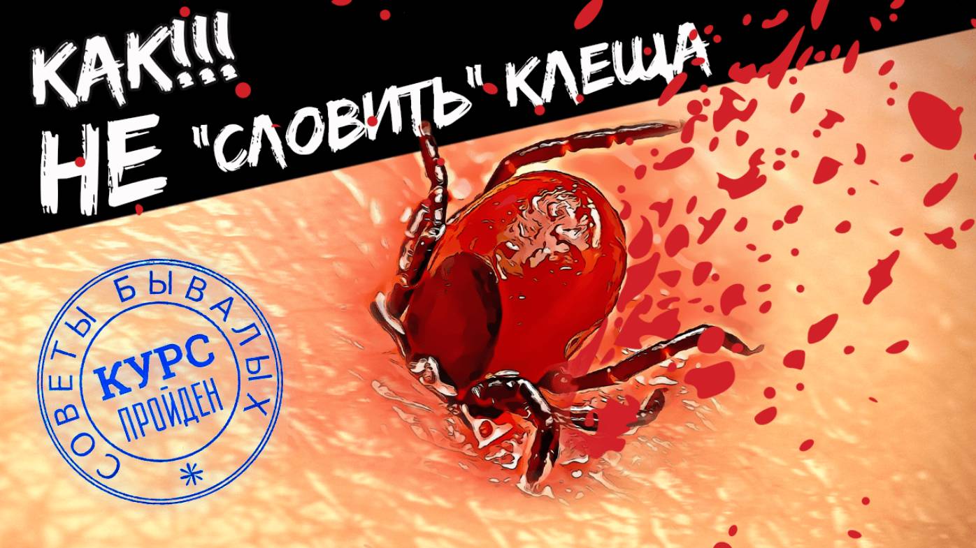 Лучшие средства и защита от клещей! Советы по предохранению и после укусов.
