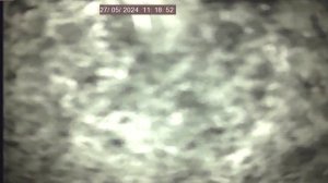 Курская обл Саламандры  в  скважине