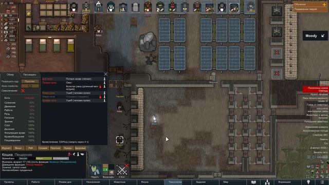 ПРОХОЖДЕНИЕ RIMWORLD DLC ANOMALY: Память о прошлом #20