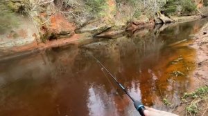 Разведка новой микро речки🎣