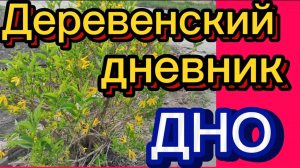 "Дно". Деревенский дневник очень многодетной мамы.