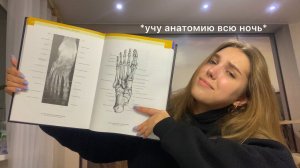 *vlog* учу анатомию всю ночь