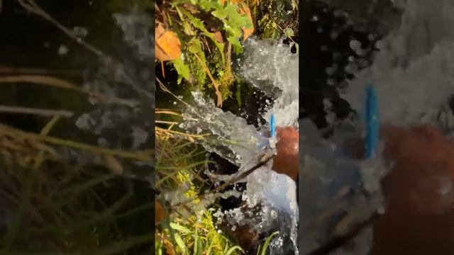 Санатория Бір Көлік смотреть онлайн