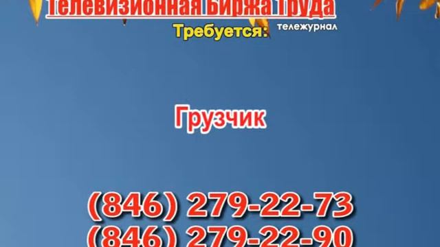 13 октября_19.20_Работа в Самаре_Телевизионная Биржа Труда смотреть онлайн