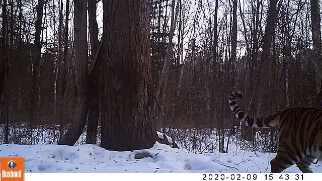 Молодая самка 2 1 смотреть онлайн