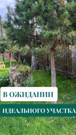 В ожидании идеального участка.