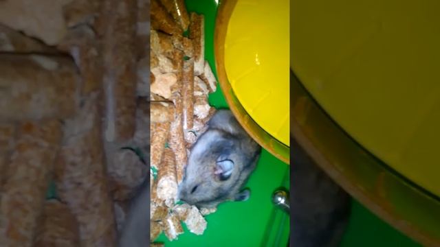 25 марта 2017 г. смотреть онлайн