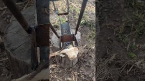 Чем обрезать чеснок/ Обрезчик для чеснока / станок для обрезки чеснока