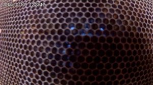 Пчеловодство- избегаем ошибок( открытый расплод в октябре -плохо)