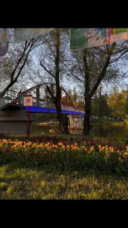 Вечерний Белгород