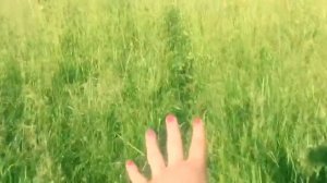 УРАЗБАХТЫ 2017