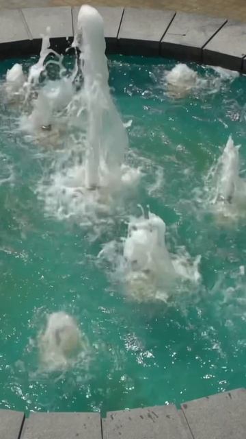 И это все в самом живописном районе Сочи 😍 Инвестируйте в Marine Garden 4* смотреть онлайн