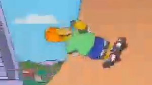 Simpsons   Homer fight Tony Hawk