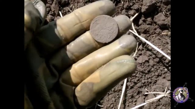 Выпуск18_Находка сезона / Пять лет поиска смотреть онлайн