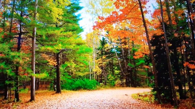 Я верю, надеюсь и молюсь. смотреть онлайн