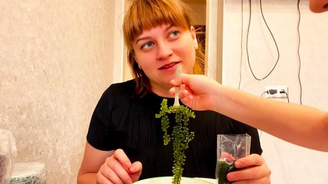 Будни мамы в декрете _ Распаковка покупочек_ Мукбанг_ Пробуем МОРСКОЙ ВИНОГРАД_ Дзен растроил меня_
