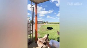 FailArmy. Best Fails of the Week  Fails Head On