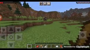 Майнкрафт шиза