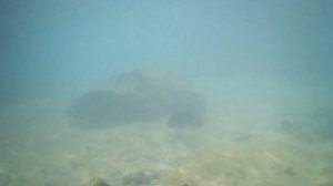 Египет. Шарм-Эль-Шейх. Отель Шарм Клифф Резорт, hotel Sharm Cliff Resort