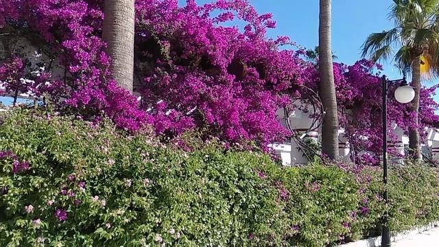 ТУРЦИЯ АНТАЛИЯ  КЕМЕР ОТЕЛЬ 5 *.PGS KIRIS RESORT 5* смотреть онлайн