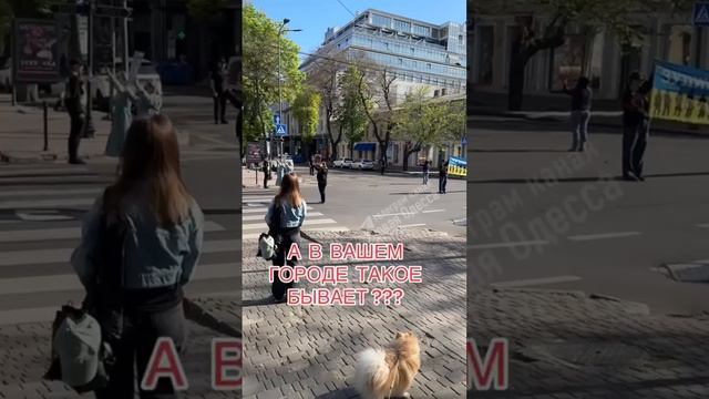 Патриоты укры пытаются решить что-то с национальным вопросом и уважением к власти
