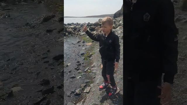 Остров Русский Японское море смотреть онлайн