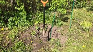 Ухаживаю за томатами и другими растениями в огороде часть (9)