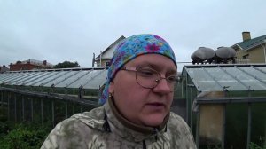 Влог от 11.08.2020