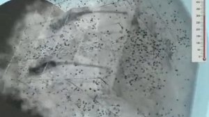 Термодиффузионное цинкование