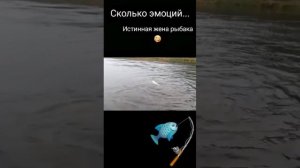 истинная жена рыбака