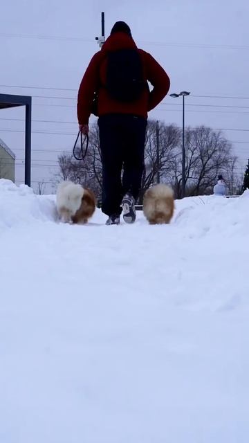 Сейчас у меня в руках ❤️♥️❤️ смотреть онлайн