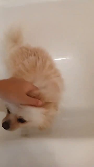 21 жовтня 2023 р. смотреть онлайн