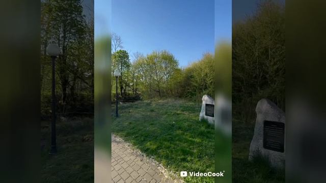 В Мамоново на Пасху. Поехали! 🥰