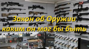новый Закон об Оружии. Каким я бы хотел его видеть.