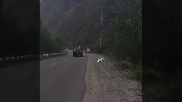 Горный воздух одурманивает смотреть онлайн