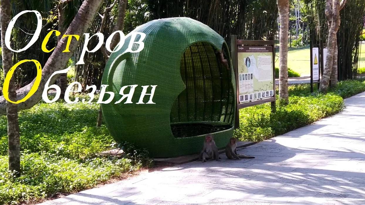 Остров Обезьян. Хайнань. Реальные впечатления от поездки смотреть онлайн