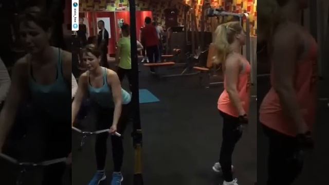 Зебра тренировка смотреть онлайн