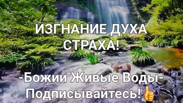 Пророческое Слово- ИЗГНАНИЕ ДУХА СТРАХА! #чудеса #viralvideo #вера #сила #слава #победа #радость смотреть онлайн