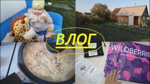 VLOG: На даче//привезли кошку//посылка с Wildberries//как я храню садовые яблоки на зиму