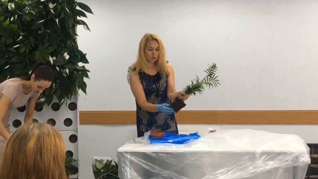Тренінг "Вертикальне озеленення від А до Я"