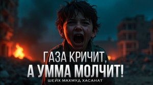 ГАЗА КРИЧИТ, А УММА МОЛЧИТ | Шейх Махмуд Хасанат
