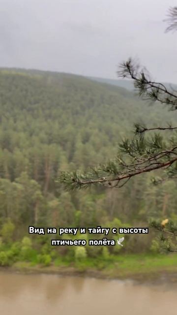 Красоты Уральских гор🏕️#bestview #природа_россии #урал  #shorts смотреть онлайн