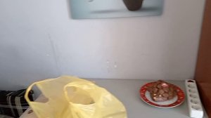 Барнаул /У Матвея день рождения! /Купили путевку/